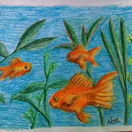 goldfish pastel painting